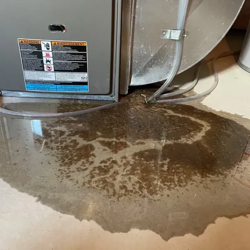 Appliance Leak Cleanup in Columbus, TX